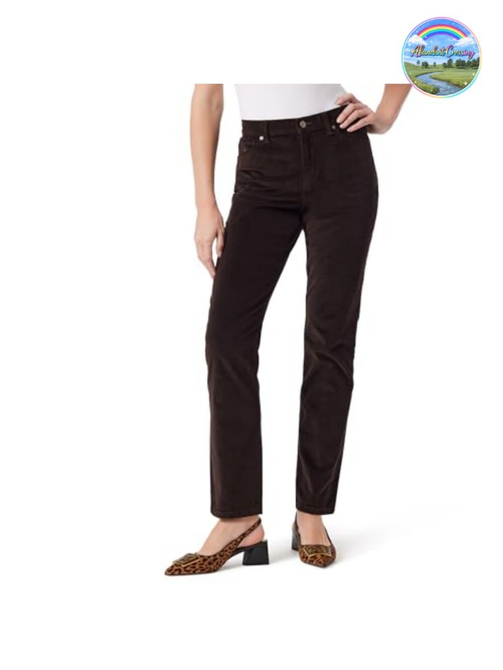 Gloria Vanderbilt Women's Amanda Corduroy Slim High Rise Pant Standard